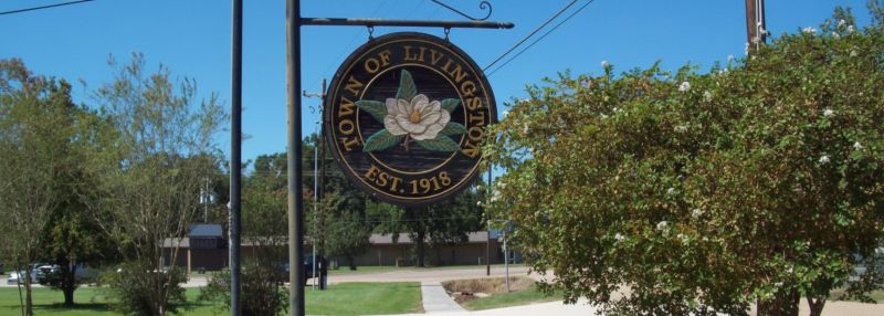 Hero for Home Services Options